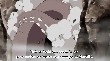 ns2949.jpg